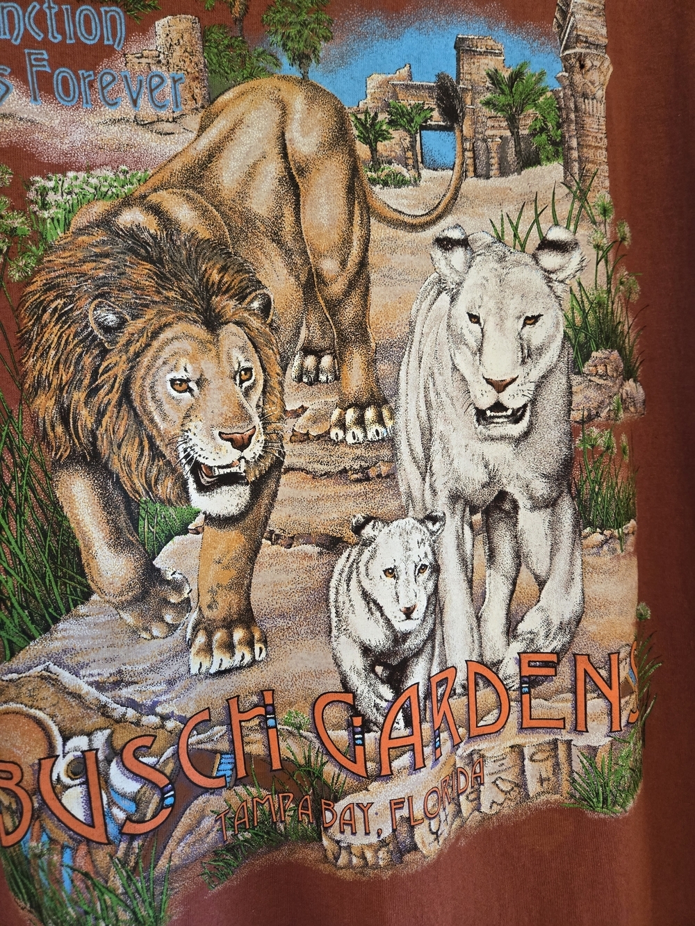Busch Gardens Lion Graphic Tee - Rust Short Sleeve 23x29 "Extinction Is Forever" - Picture 10 of 13